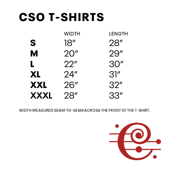 Chicago Flag T-Shirt