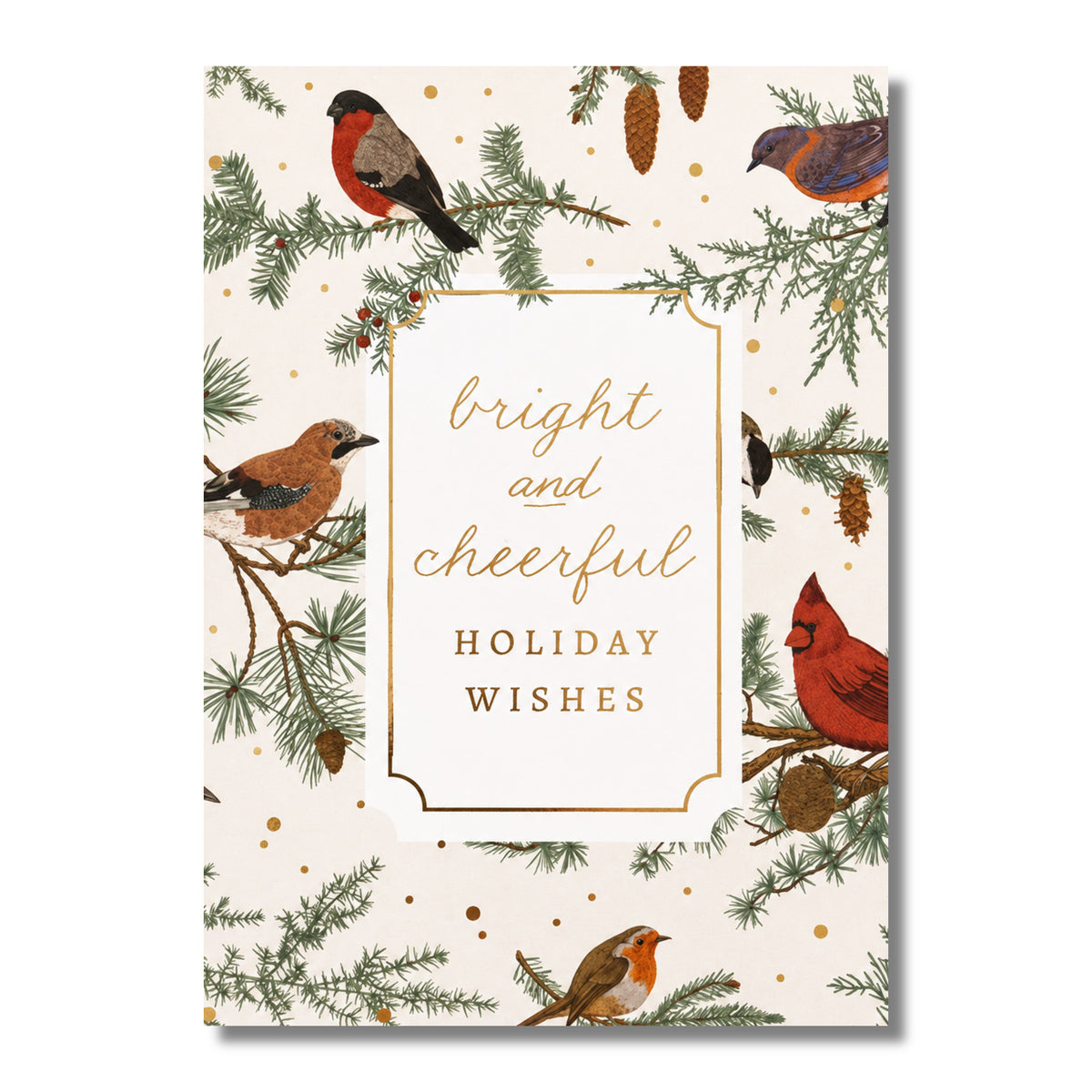Bright & Cheerful Birds Boxed Holiday Cards