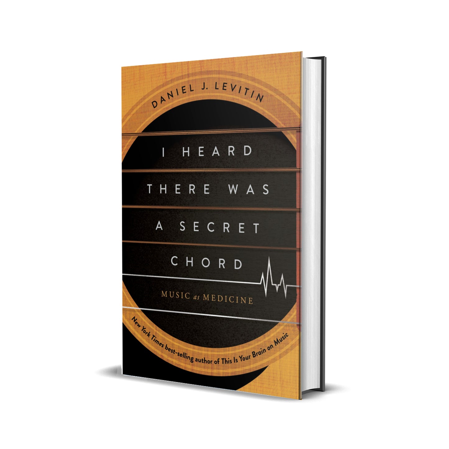 I Heard There Was a Secret Chord, Levitin