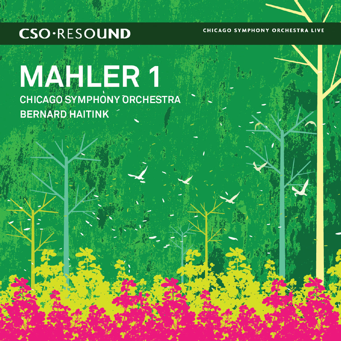 Mahler: Symphony No. 1, Haitink