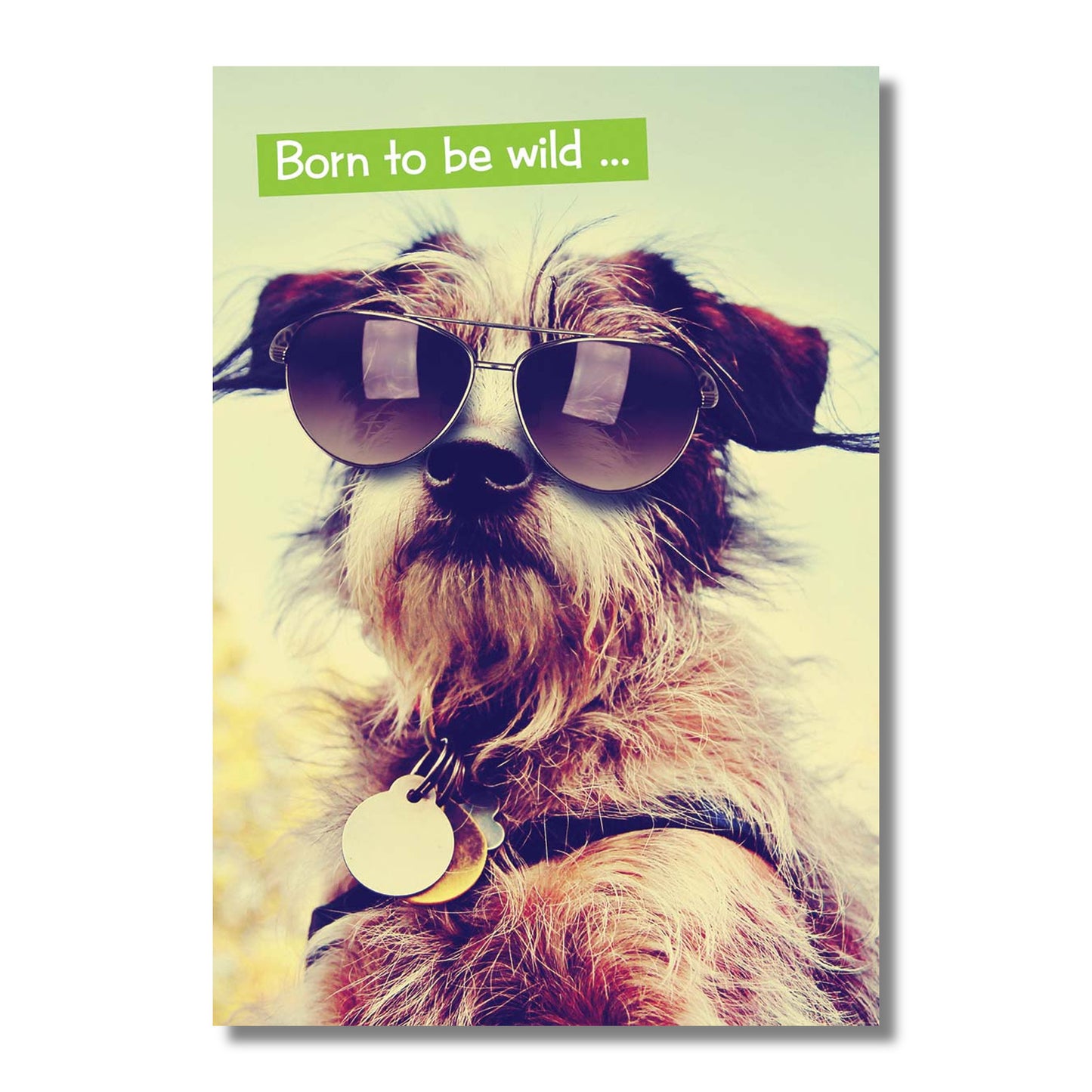 Birthday Card — Born to be Wild