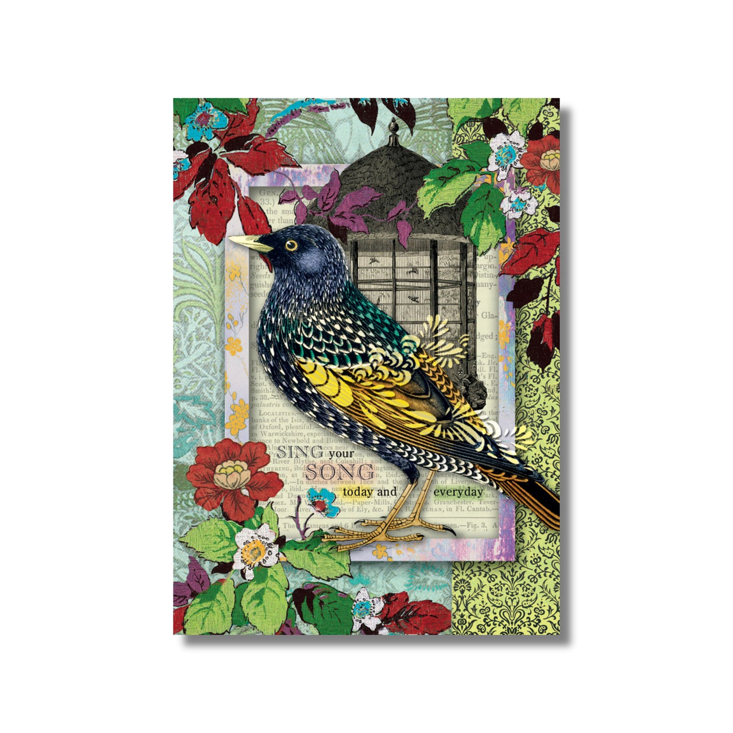 Birthday Card — Sing Your Song