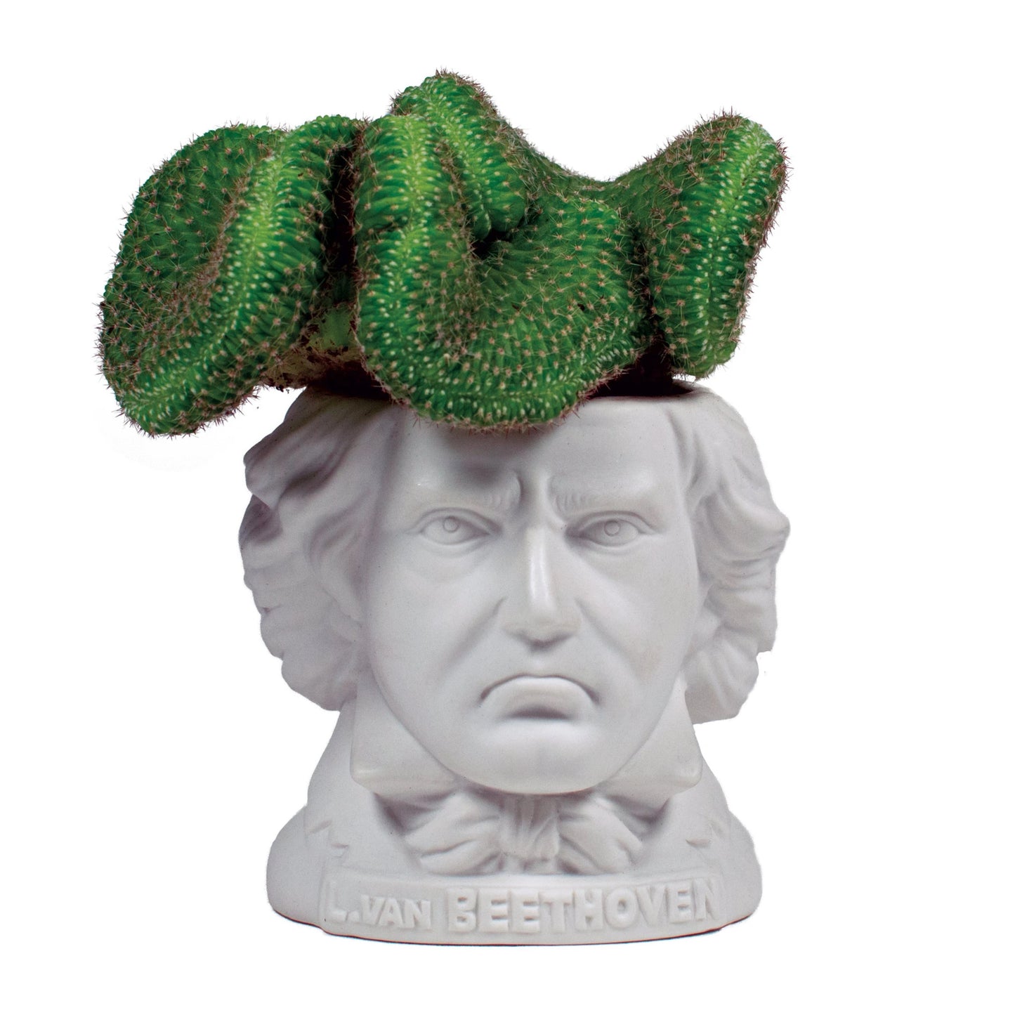 Beethoven Succulent Planter