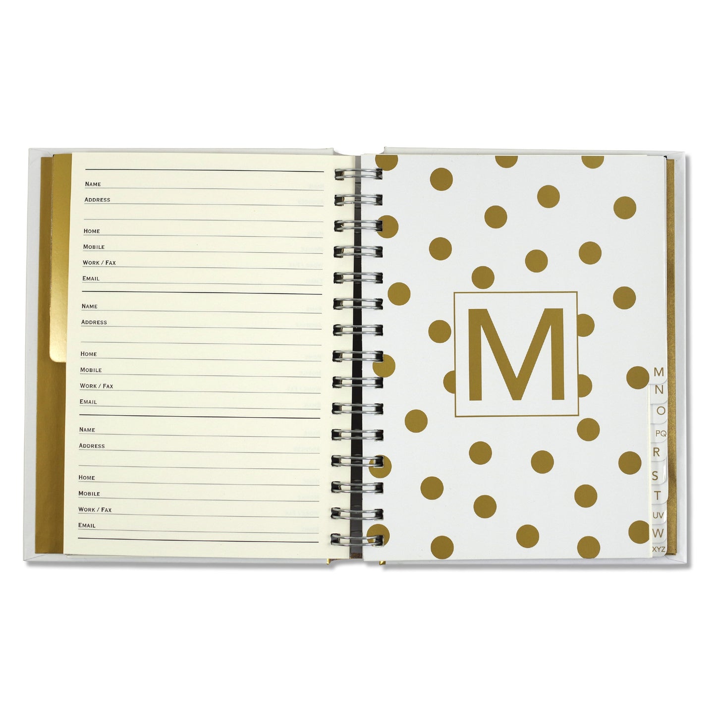 Gold Dots Address Book