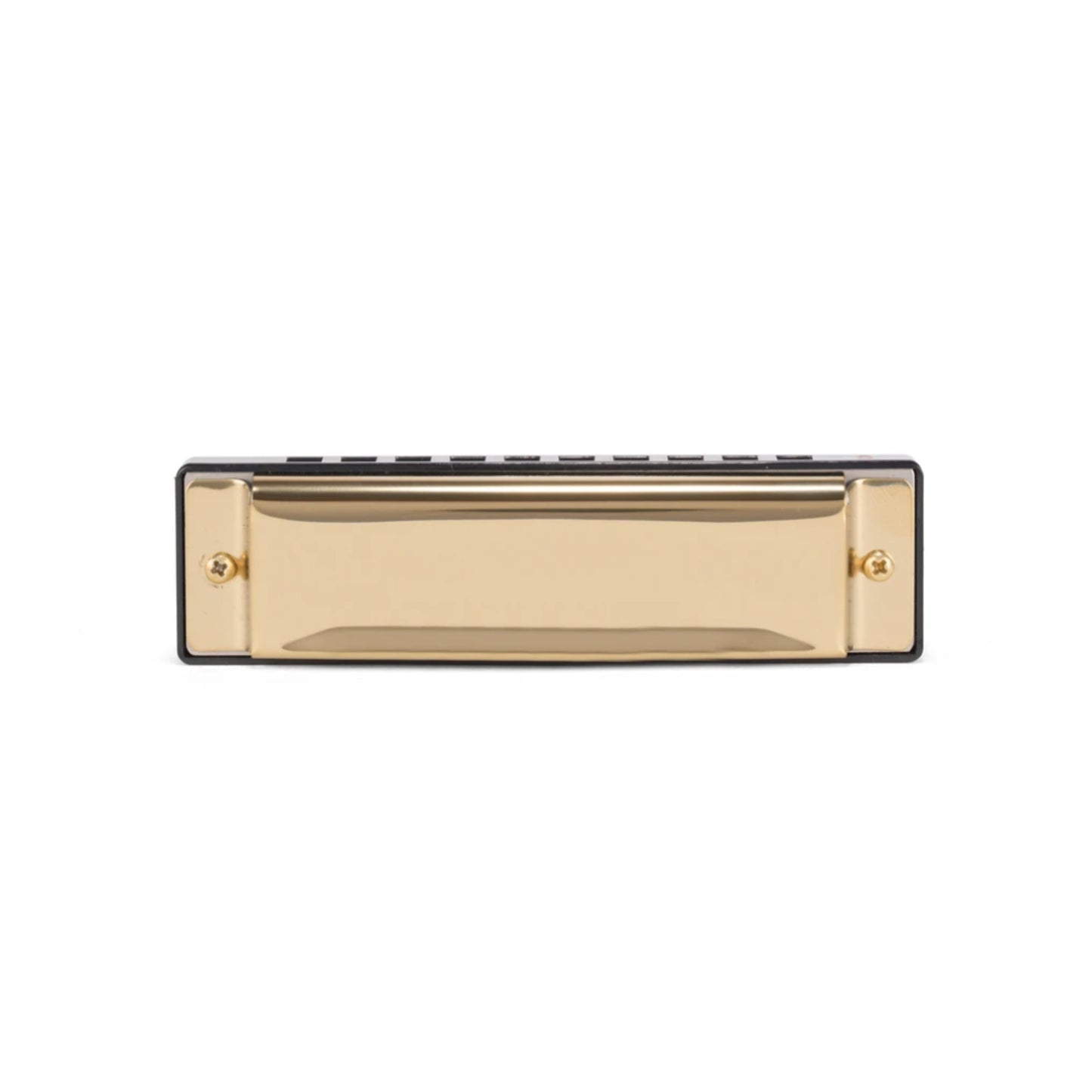 Make Your Own Harmonica Kit