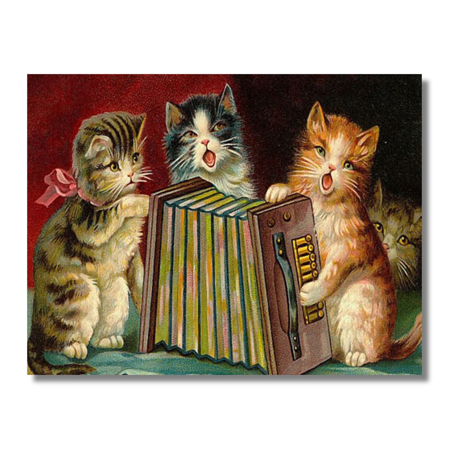 Blank Card — Cats Playing the Accordion