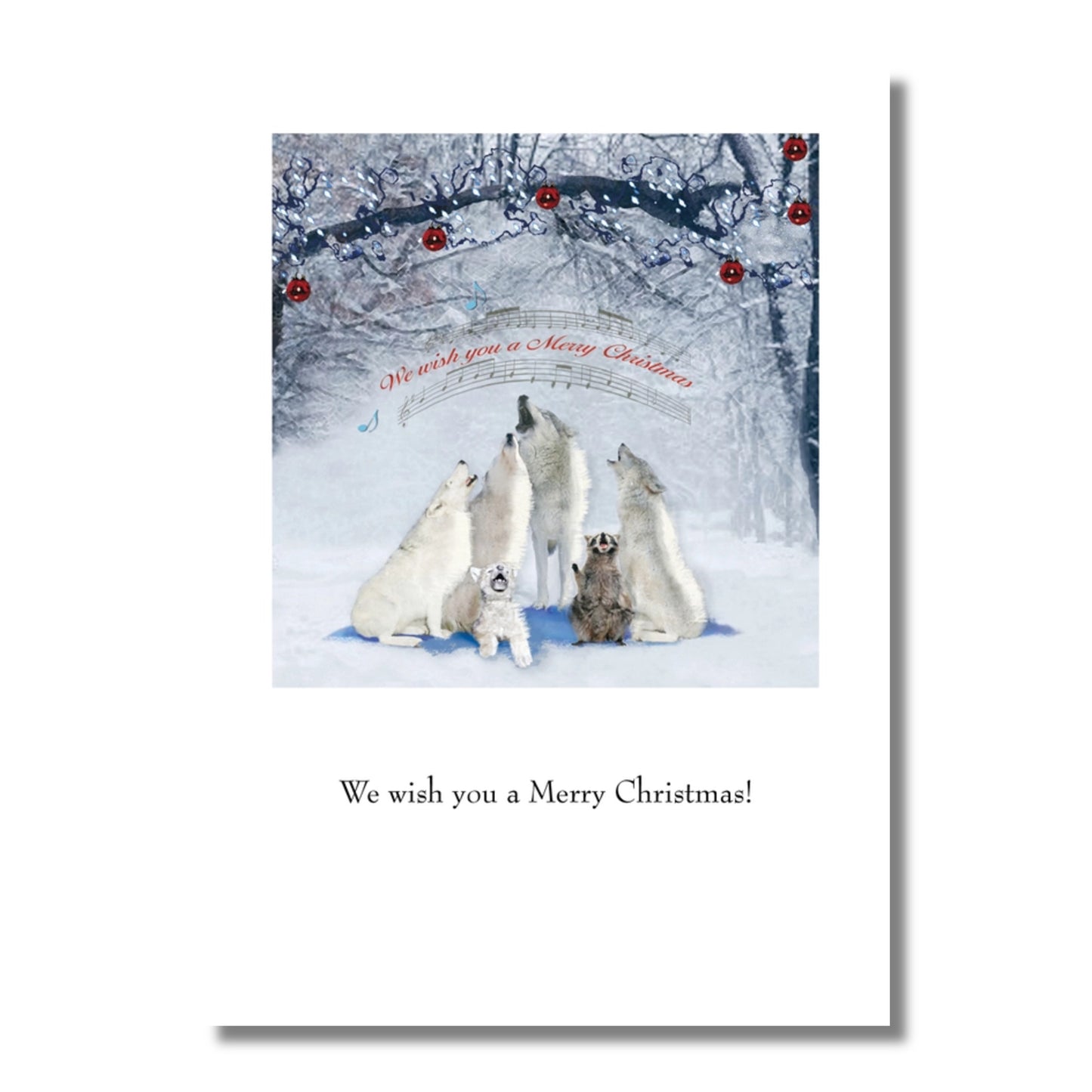 Winter Animals Boxed Christmas Cards