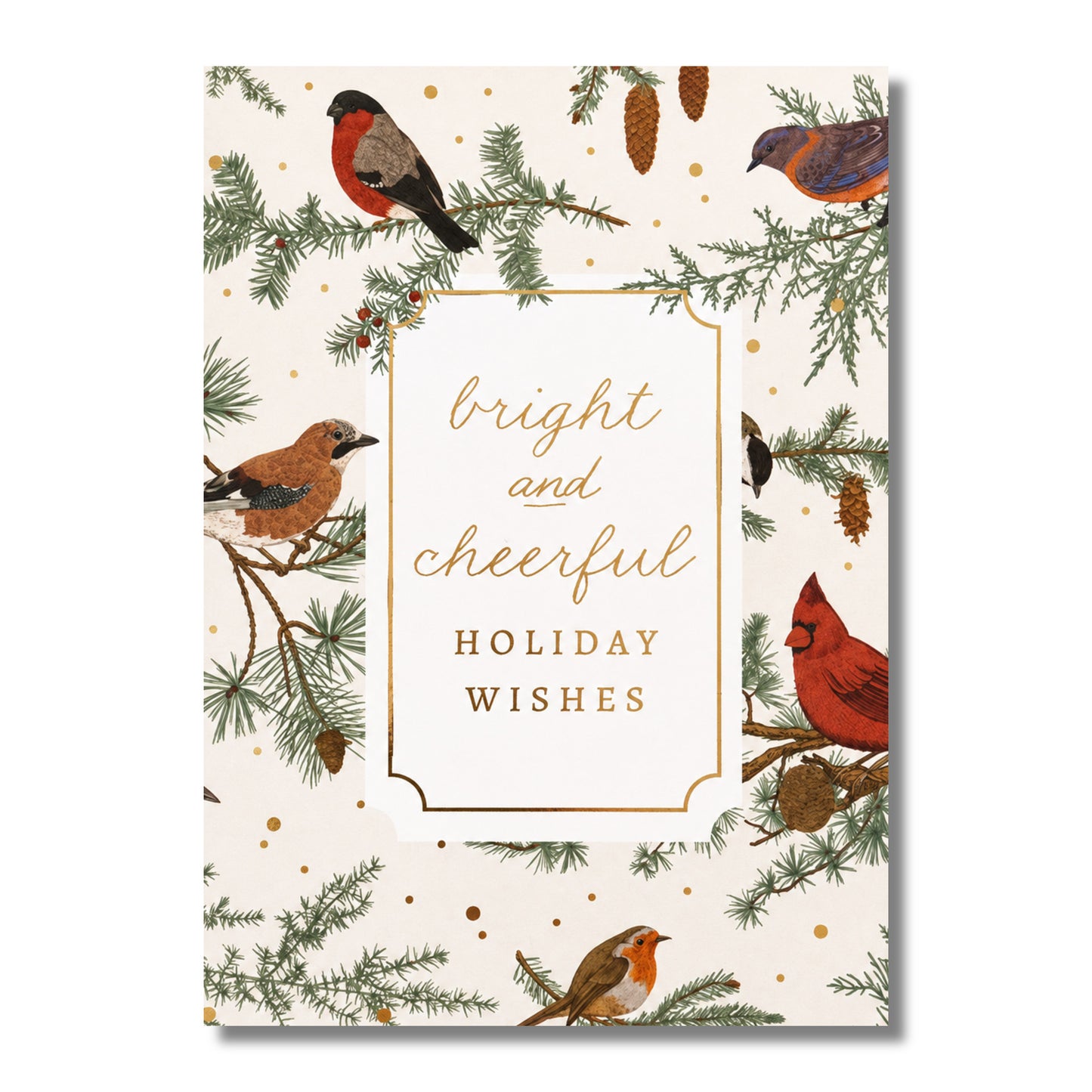 Bright & Cheerful Birds Boxed Holiday Cards