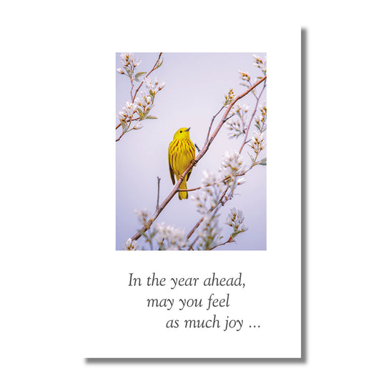 Birthday Card — In the Year Ahead . . .