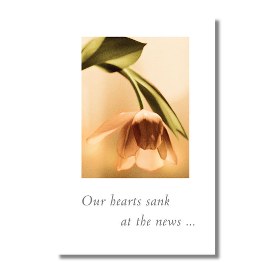 Sympathy Card — Our Hearts Sank . . .