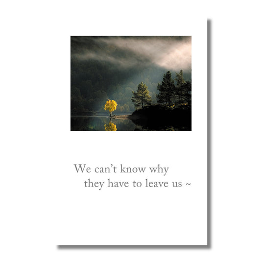 Sympathy Card — We Can't Know Why . . .