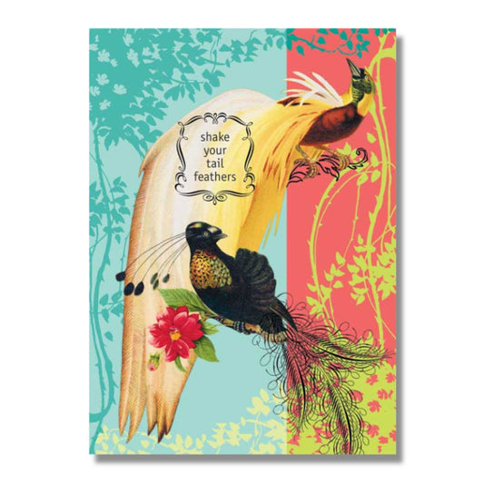 Birthday Card — Shake Your Tail Feathers