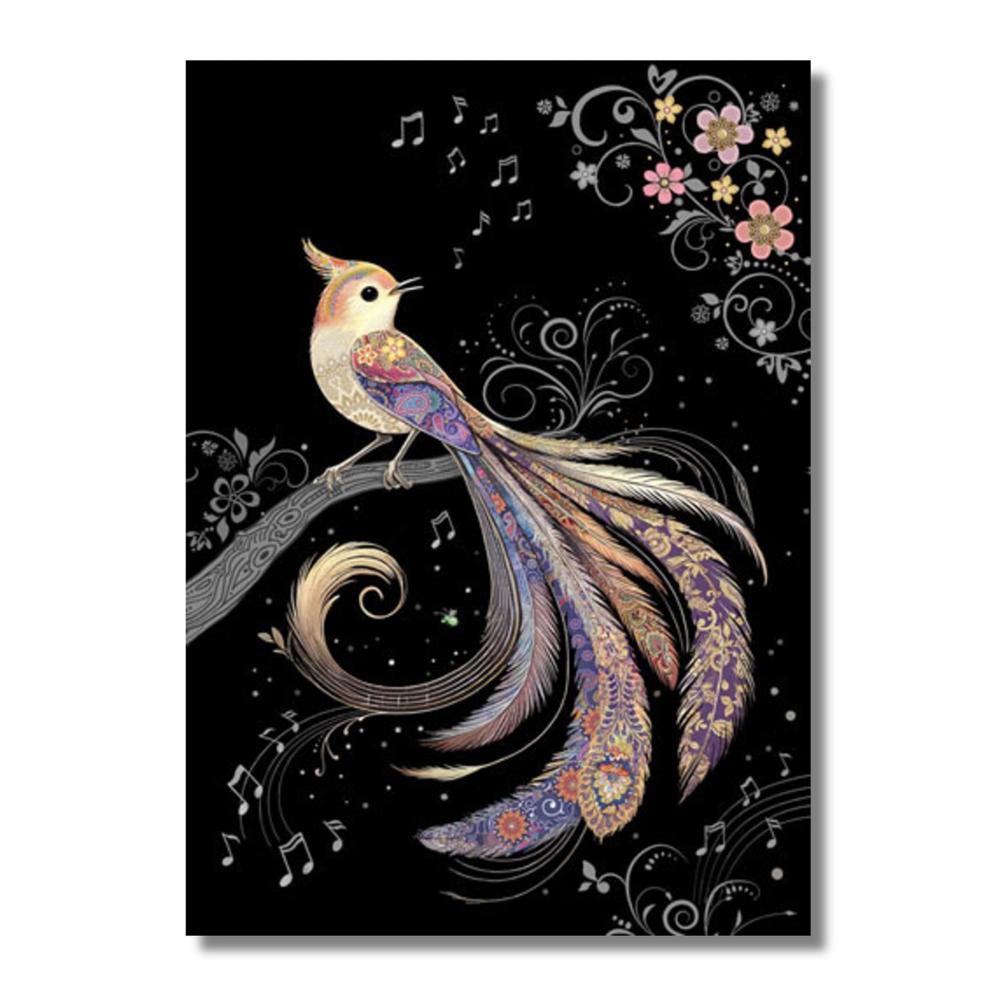 Blank Card — Paradise Bird