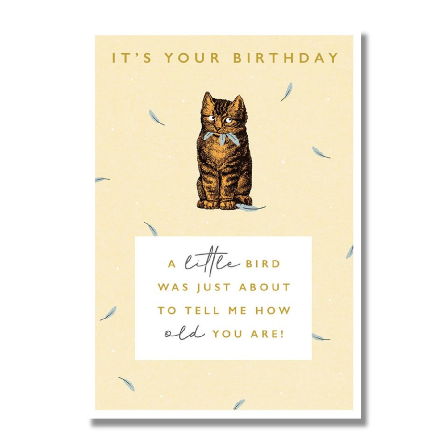 Birthday Card — Cat Eating Feathers