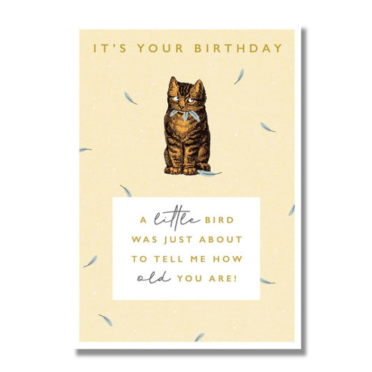 Birthday Card — Cat Eating Feathers