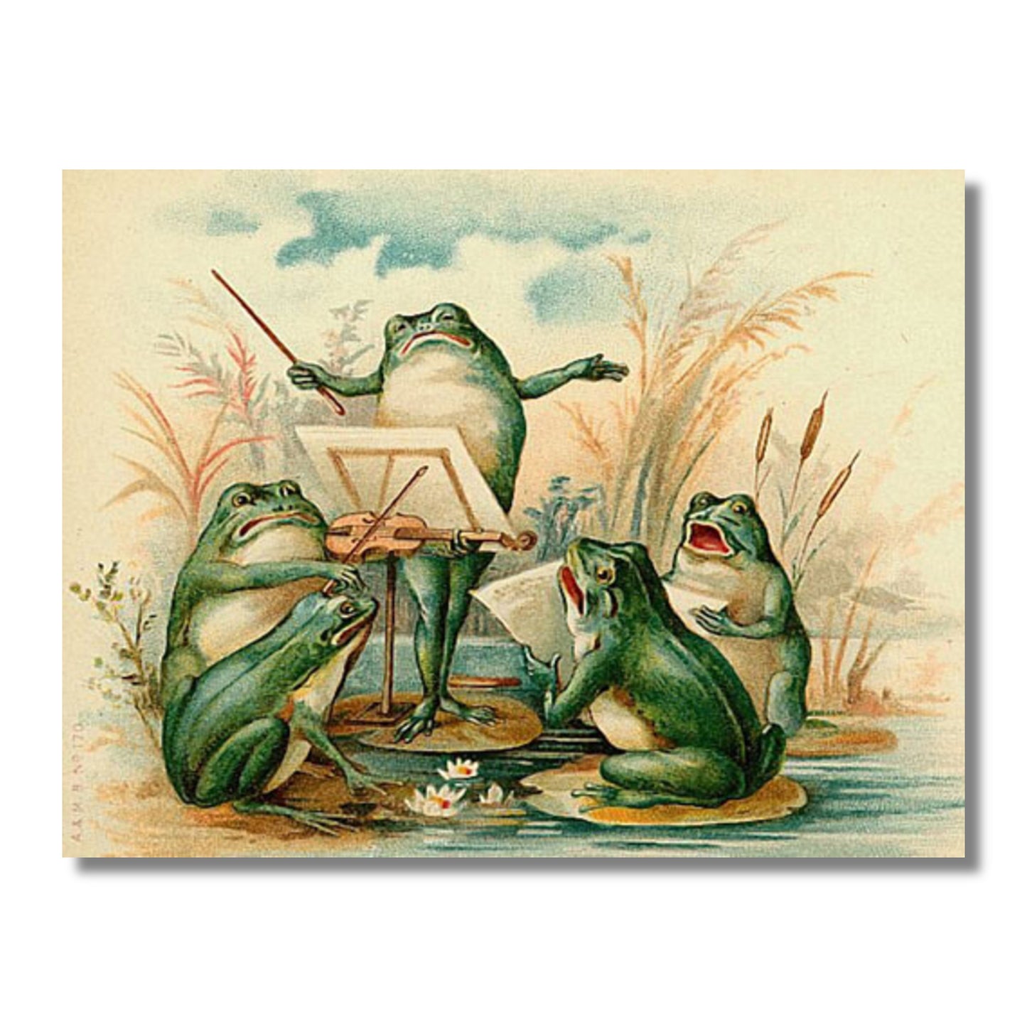 Blank Card — Frog Ensemble