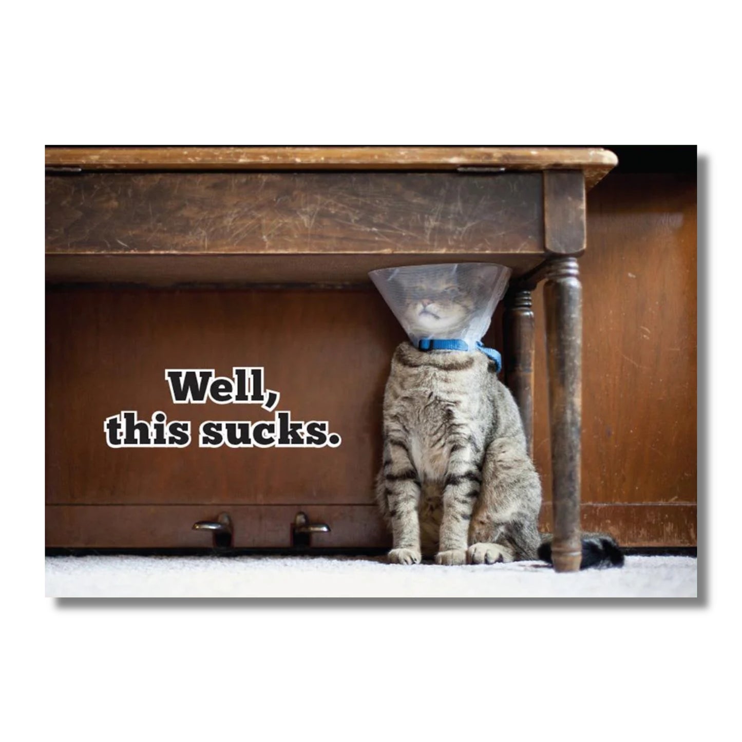 Get Well Card — Cat Stuck Under a Piano Bench