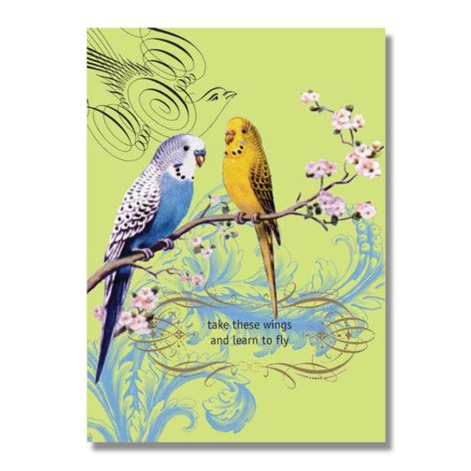 Birthday Card — Learn to Fly