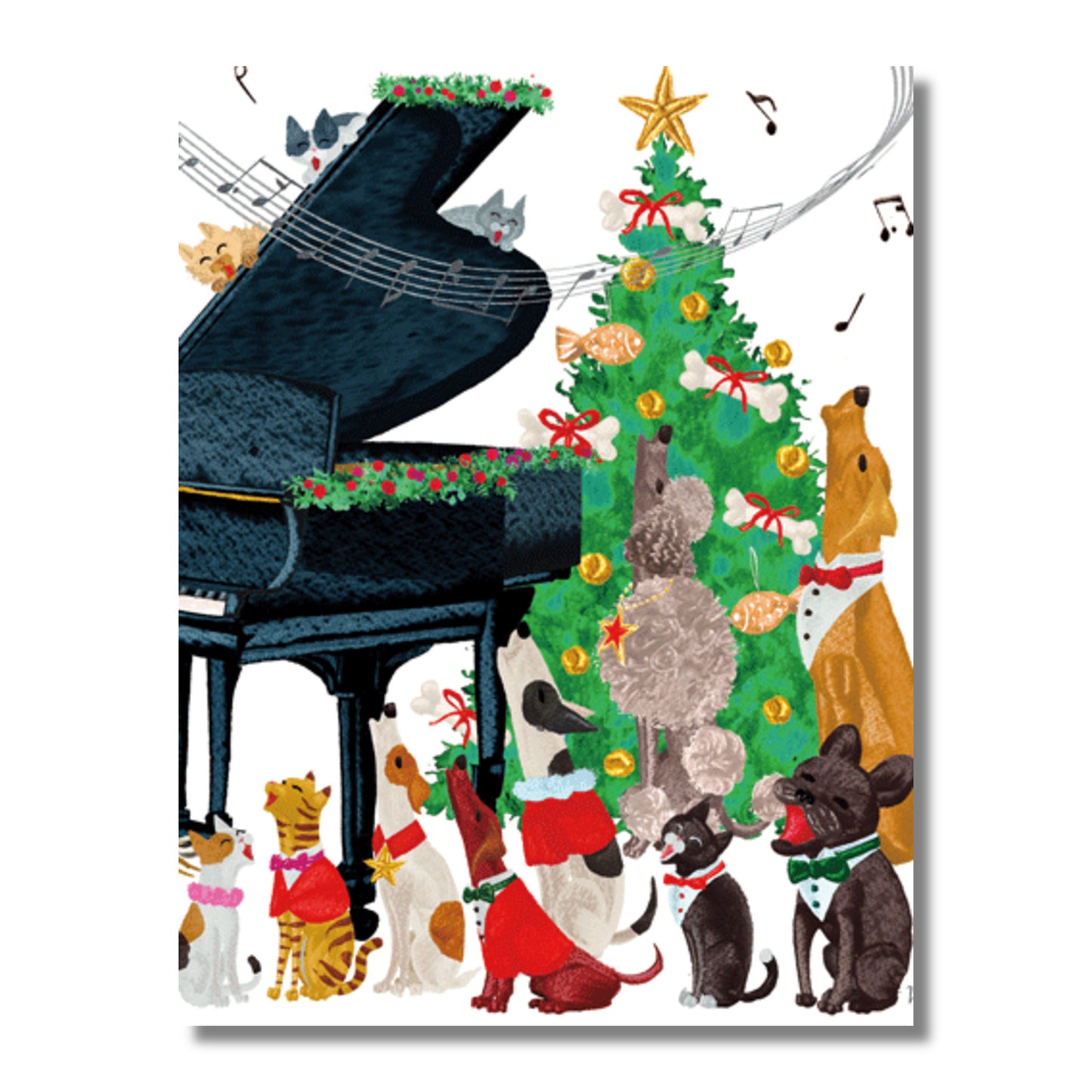 Caroling Pets Boxed Christmas Cards