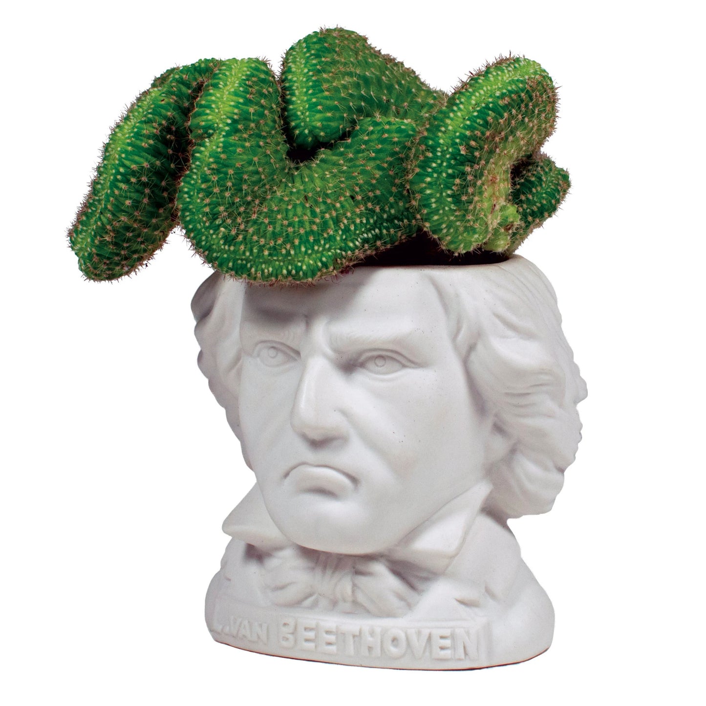 Beethoven Succulent Planter