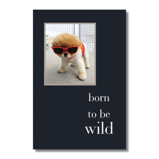 Birthday Card — Born to be Wild