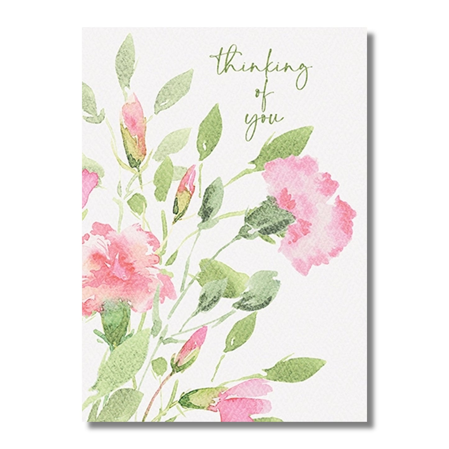 Sympathy Card — Pink Carnations