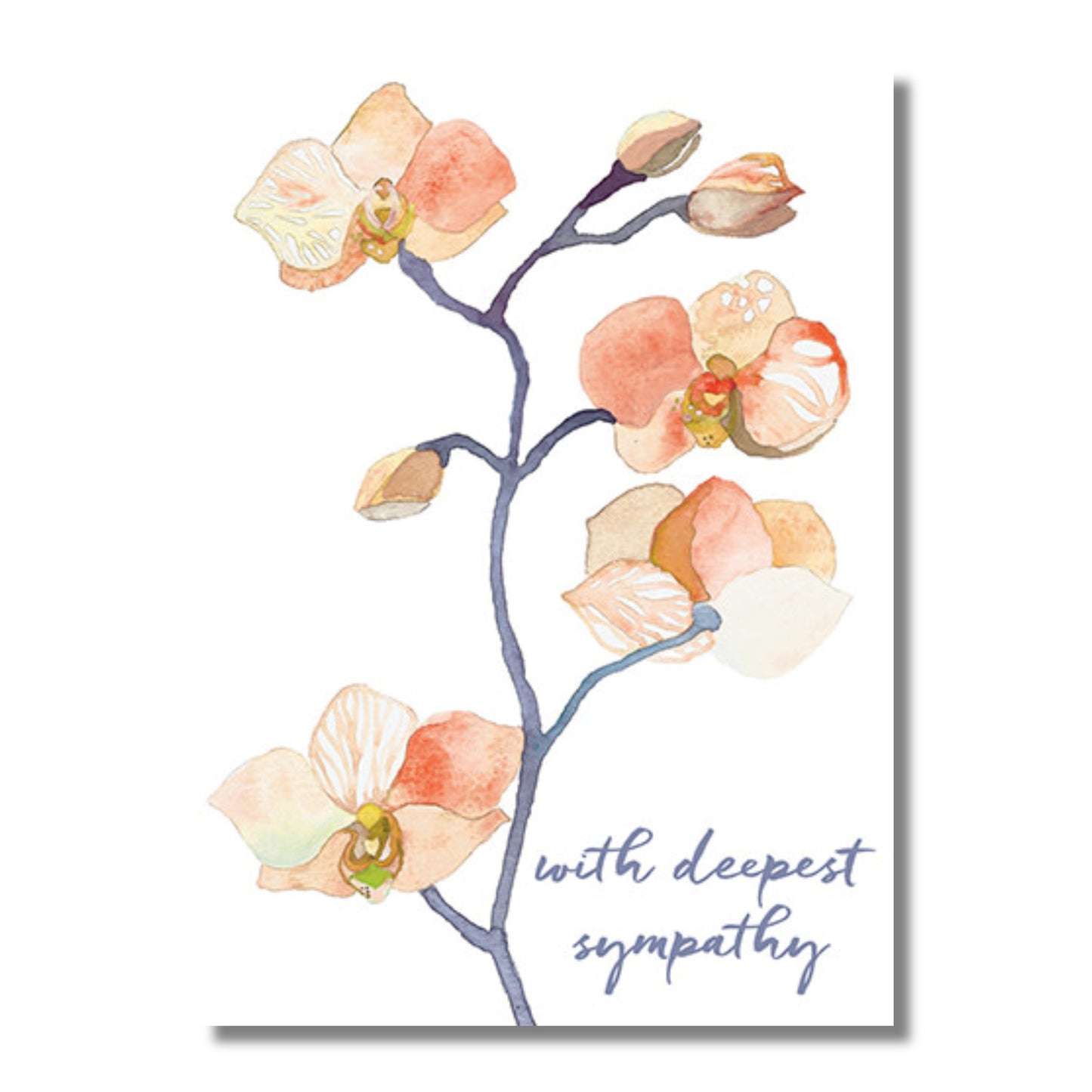 Sympathy Card — Peach Orchids