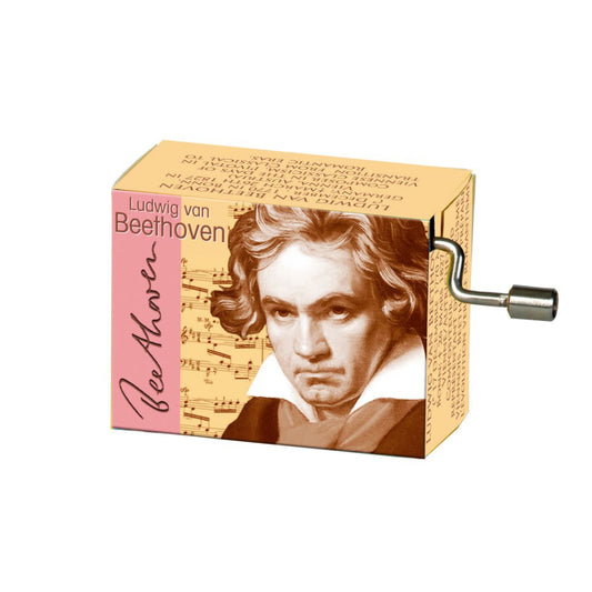 Ludwig van Beethoven, Für Elise Music Box