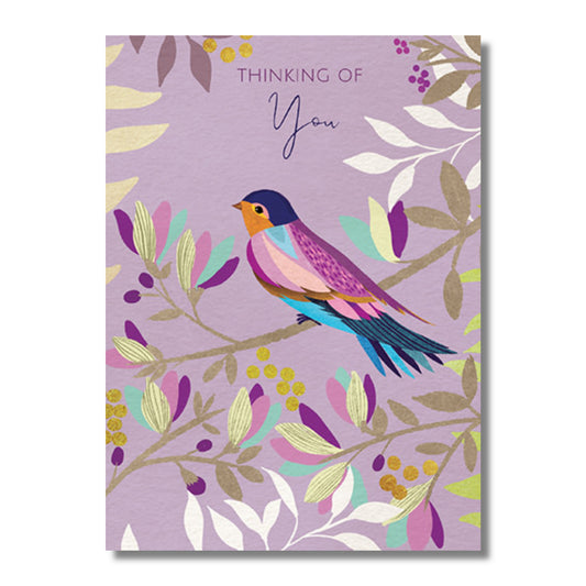 Get Well Card — Purple & Blue Bird