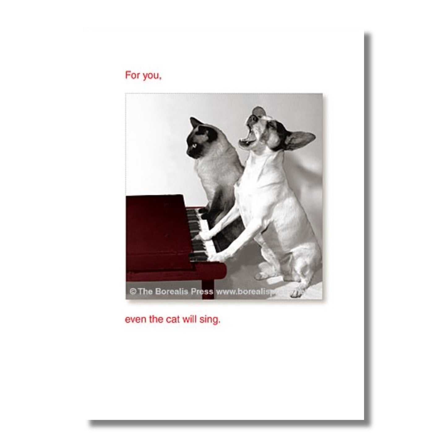 Birthday Card — For you, even the cat will sing.